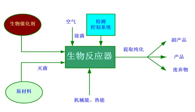 微生物发酵罐